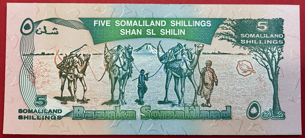 Somaliland - 5 Shillings 1994 P#1a Kvalitet 0