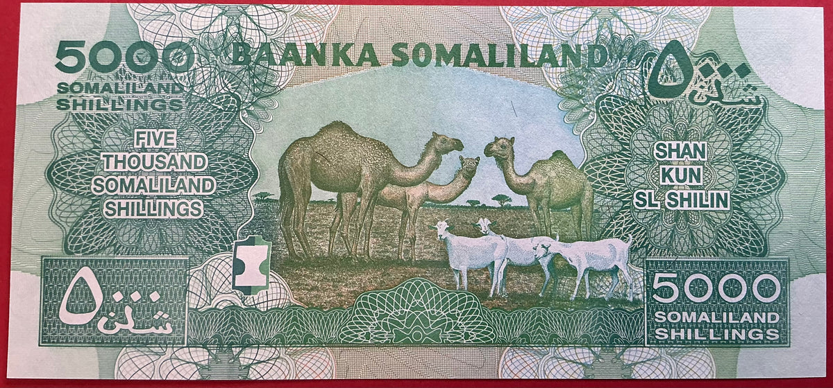 Somaliland - 5000 Shillings 2011 P#21a Kvalitet 0